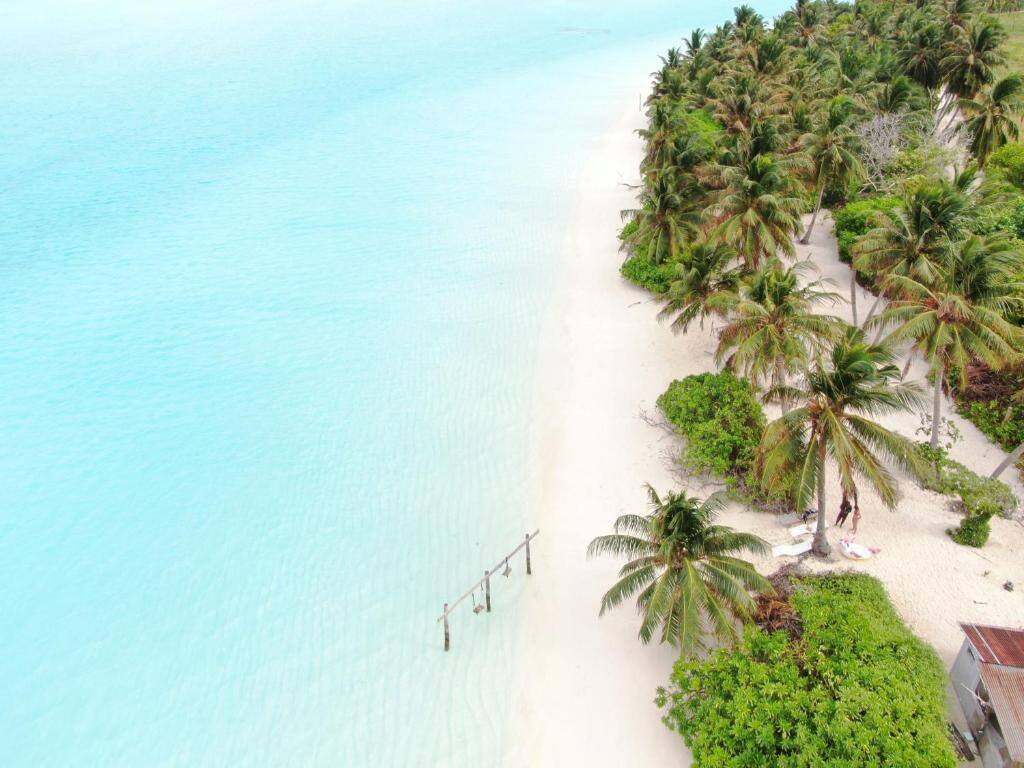White sand beach and turquoise lagoon on Thoddoo island