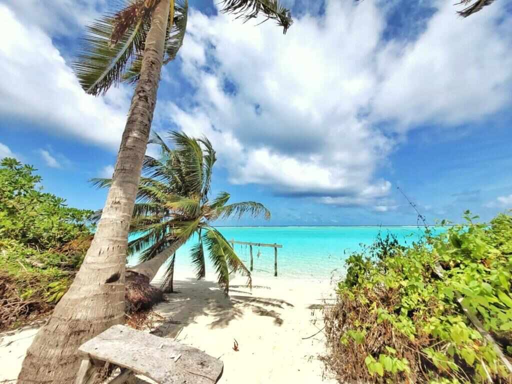 Palm trees and shallow turquoise water on Thoddoo